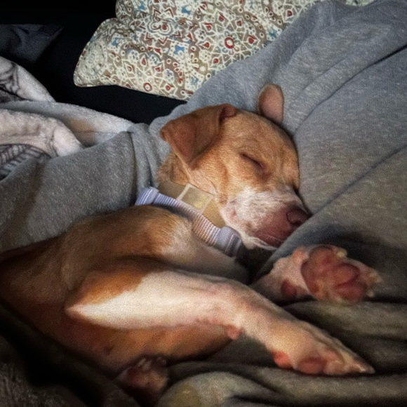 Meet your Posher, Tracy - Picture 8 of 12